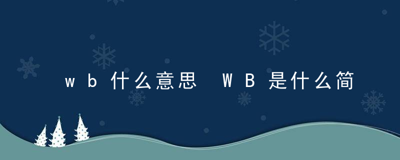 wb什么意思 WB是什么简称